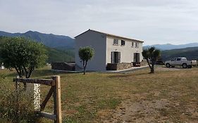 Entre mer et montagne, en plein maquis